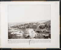 Ayalon
