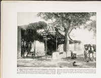 Coffee House in the Garden of the Virgin at Matariyeh--Where Joseph lived