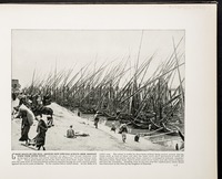 Grain boats on the Nile--Showing how the corn has always been brought down from Upper Egypt