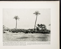 Site of Ancient Memphis--Where Moses passed his youth