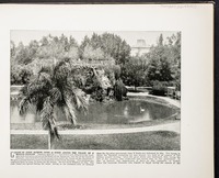 Garden of Gizeh Museum, Cairo--A scene around the palace of a modern Pharaoh