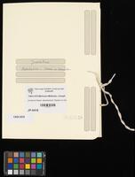 Joodsche Raad: alphabetisch Steden en Gemeenten.