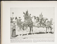 Marriage ceremony in Cairo