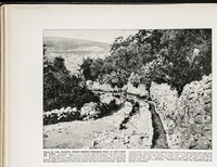 Ras el 'Ain, Nablous--Where Joseph's brethren went to feed their flock