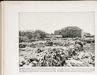 Beeroth--where Mary and Joseph missed the child Jesus