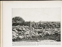 Ruins of Shiloh--Where Abijah the prophet lived