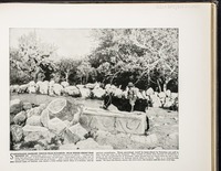 Sarcophagus drinking trough near Nazareth--Near where Christ was brought up