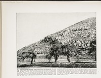 Mount Gerizim--Where the Samaritans worshiped