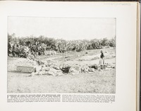 Fountain of Cana of Galilee--Near the birth-place and burial of Jonah--Also the scene of the first miracle