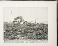 Magdala