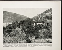 Gardens of Shechem--Where Rehoboam was crowned King of Israel