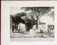 Coffee House in the Garden of the Virgin at Matariyeh--Where Joseph lived