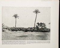 Site of Ancient Memphis--Where Moses passed his youth