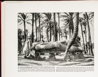Statue of Rameses II--Lying in the city which Jeremiah said should be without inhabitant