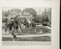 Garden of Gizeh Museum, Cairo--A scene around the palace of a modern Pharaoh