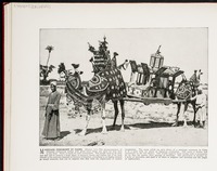 Marriage ceremony in Cairo