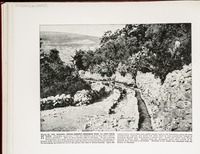 Ras el 'Ain, Nablous--Where Joseph's brethren went to feed their flock
