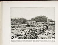 Beeroth--where Mary and Joseph missed the child Jesus