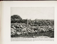Ruins of Shiloh--Where Abijah the prophet lived