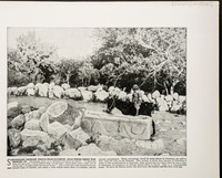 Sarcophagus drinking trough near Nazareth--Near where Christ was brought up