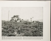 Magdala