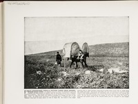 Family Conveyance, Syria--A picture taken near Jezreel, where Ahab lived