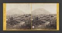 Mount Tabor