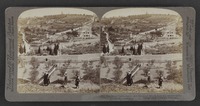 Garden of Gethsemane and Mount of Olives, from the eastern wall, Jerusalem, Palestine