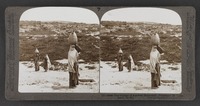 The village of Amwas (Emmaus), Palestine (St. Luke xxiv : 13-31)