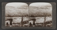 Hill of Samaria, from the south, surrounded by its fig and olive groves--Palestine