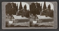 Abraham's Oak near Hebron