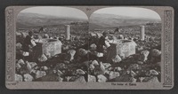 The ruins of Tekoa