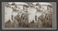 Walls of Augustus, Samaria