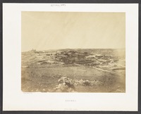 Bethel
