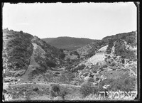 יערות הכרמל שני כבישים בבניה.