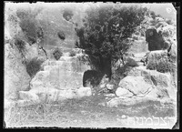 מזבח יערות הכרמל.