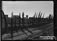 עין החורש.