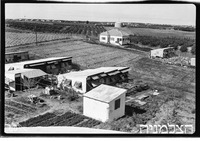 רמות השבים לולים.