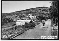 קרית ענבים מבט כללי.