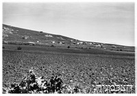 קרית חרושת.