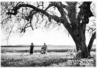 הרצליה - קליין.
