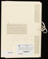 Hebrew translations of testimonies related to the Zündler case, getuigschriften over de bewaking van de Hollandse Schouwburg 1942-1943, testimonies anti- and pro- Zündler's award.