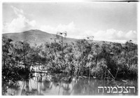 שיט על הירדן לתוך ביצות החולה 24.1.38.