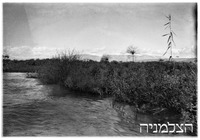 שיט על הירדן לתוך ביצות החולה 24.1.38.