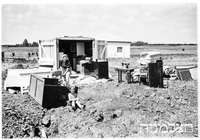 מניה ויסנשטין.