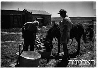 כפר ידידיה.