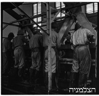 גבעת חיים בית חרושת "גת".