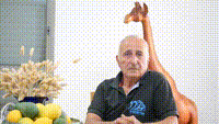 עדות אריה אלמוג, 2 בדצמבר 2024.