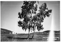 קירית חרושת.