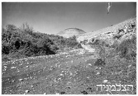 כפר קיש 10.1946.